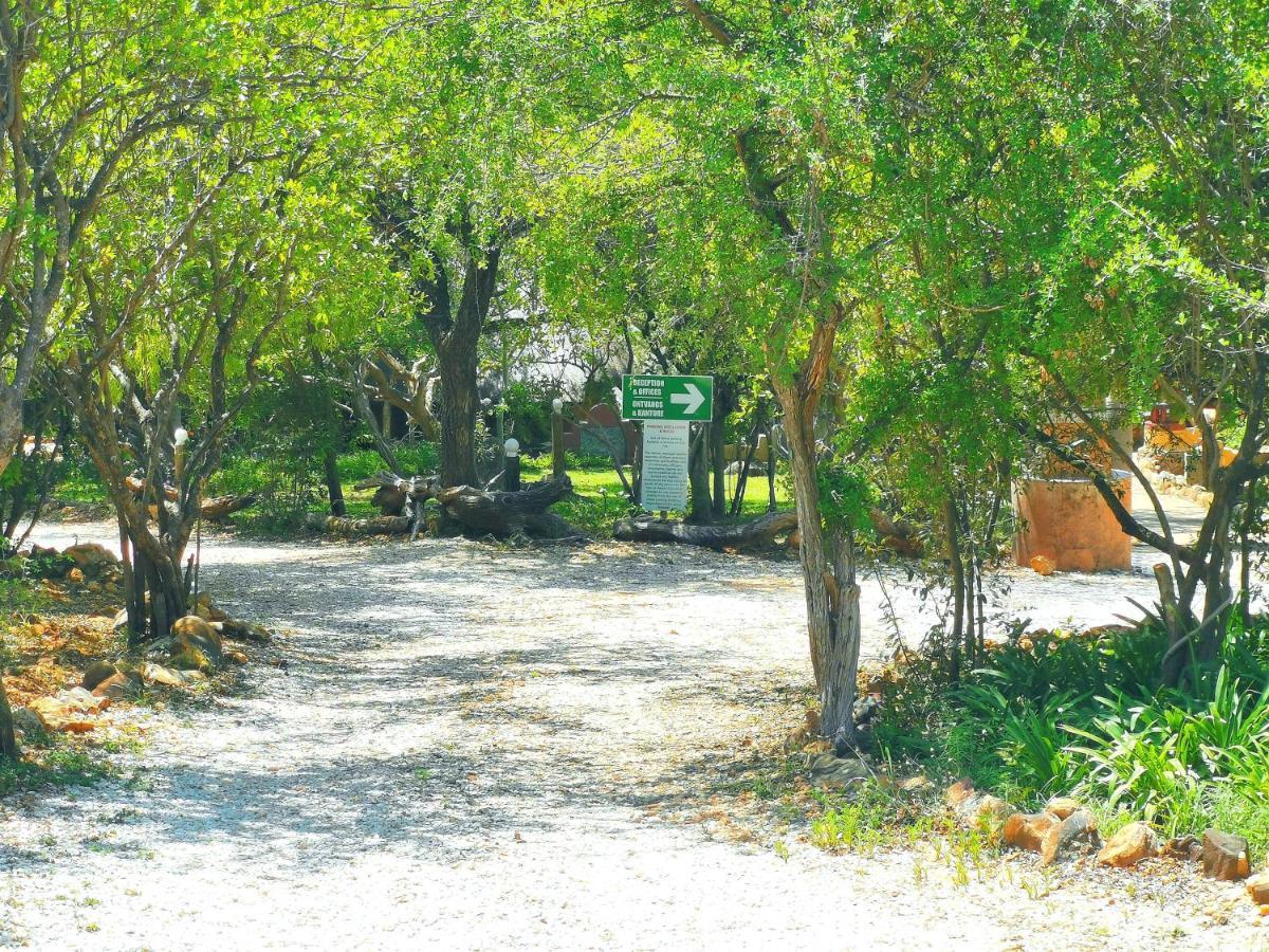 Mali Mali Safari Lodge Hoedspruit Buitenkant foto