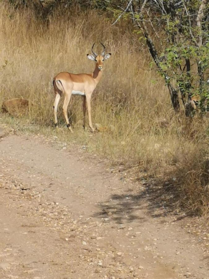 Mali Mali Safari Lodge Hoedspruit Buitenkant foto