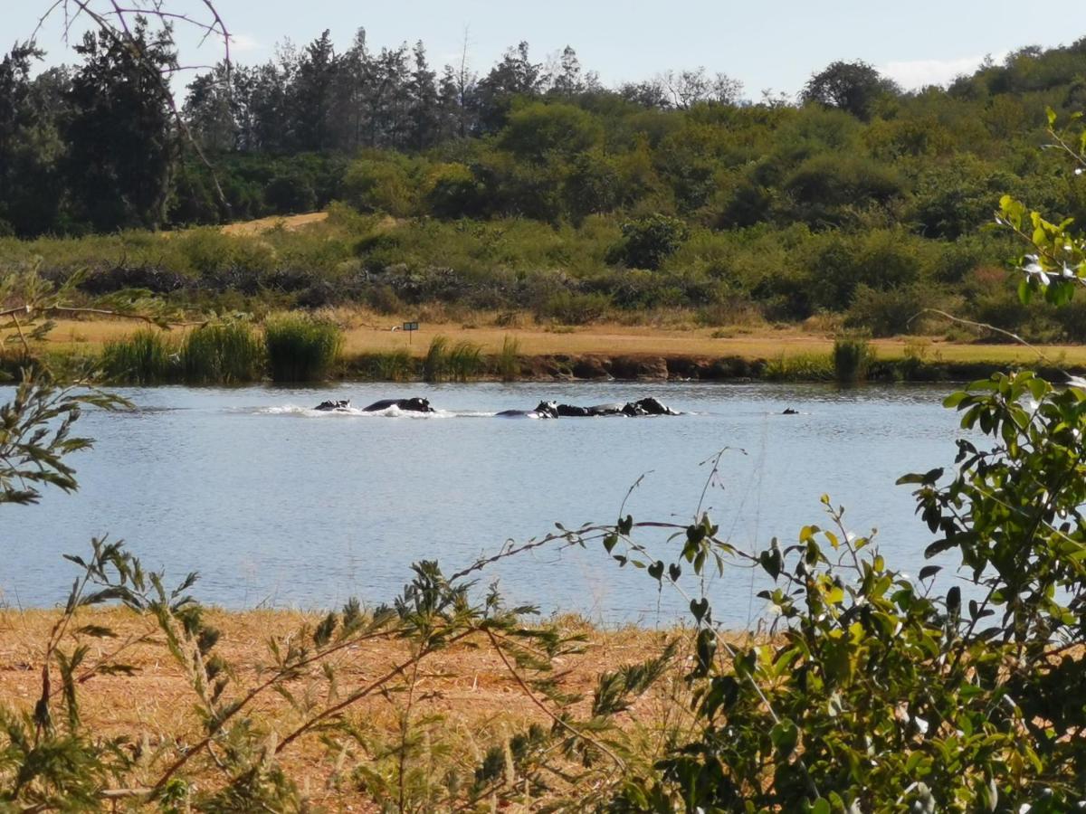 Mali Mali Safari Lodge Hoedspruit Buitenkant foto
