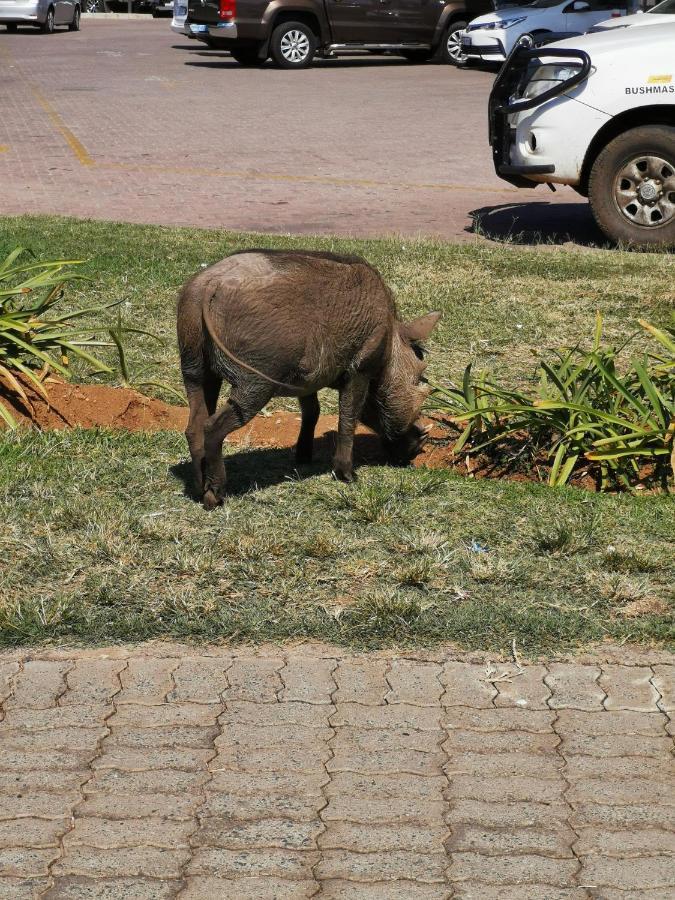 Mali Mali Safari Lodge Hoedspruit Buitenkant foto